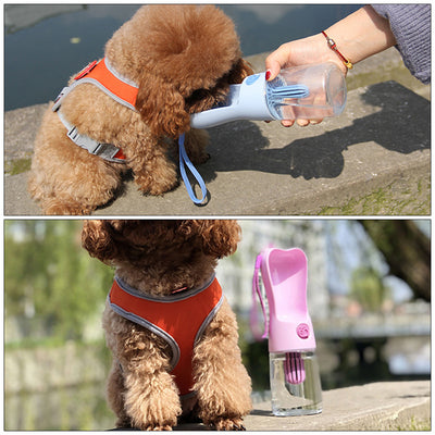 Portable Pet Water Feeder